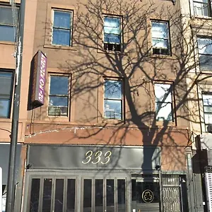 Apartment Cozy Fully Furnished Near Prospect Park & Public Transport, New York